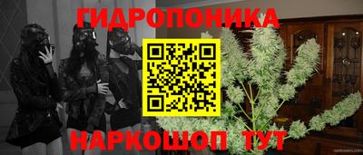PSILOCYBIN Абинск